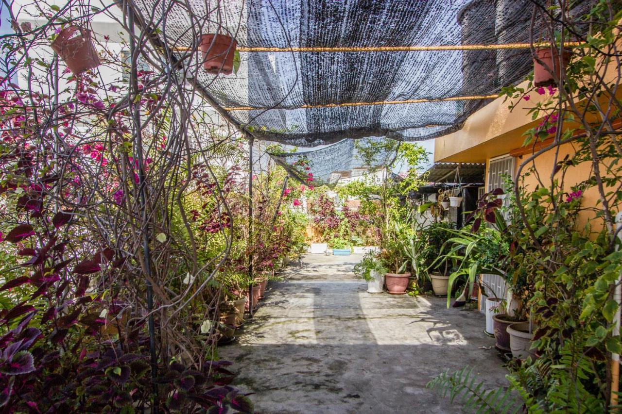 Nice Inn George Town Esterno foto